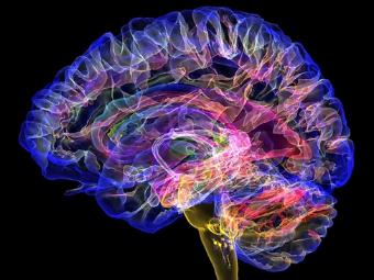 欧美肏屄片1314网址大脑植入物有助于严重头部损伤恢复